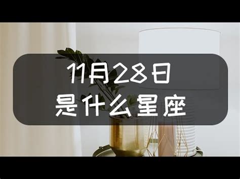 11月11號是什麼星座